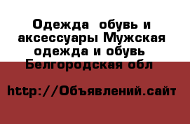 Одежда, обувь и аксессуары Мужская одежда и обувь. Белгородская обл.